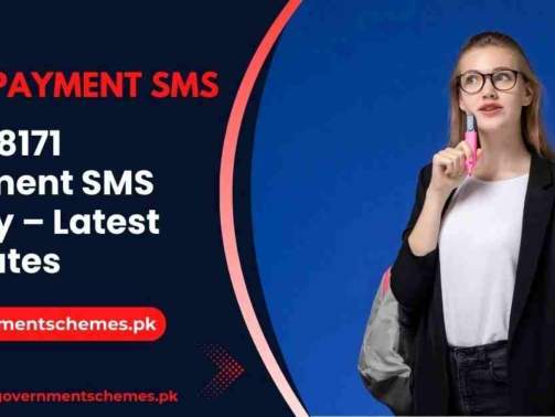 BISP-8171-Payment-SMS-Delay