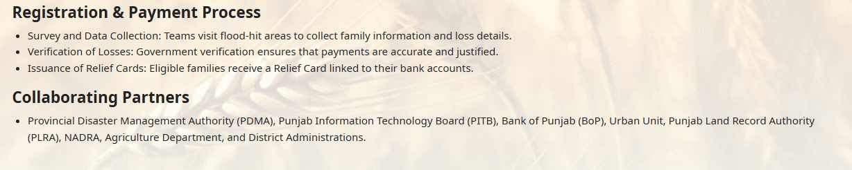 CM-Punjab-Flood-Relief-Fund-Application-Process