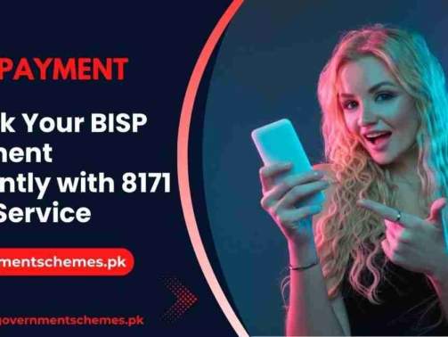 Check-Your-BISP-Payment-Instantly-with-8171-SMS-Service