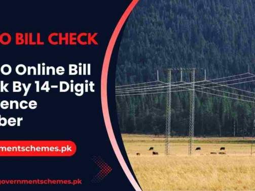 GEPCO-Online-Bill-Check-By-14-Digit-Reference-No