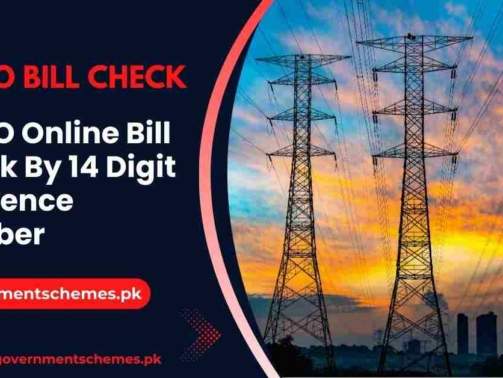 LESCO-Online-Bill-Check-By-14-Digit-Reference-Number