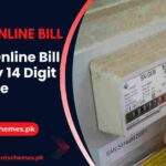 MEPCO-Online-Bill-Check-by-14-Digit-Reference-Number