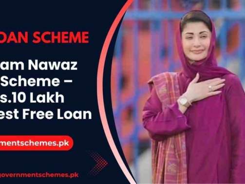 Maryam-Nawaz-Loan-Scheme-Apply-Online