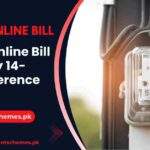 PESCO-Online-Bill-Check-by-14-Digit-Reference-Number