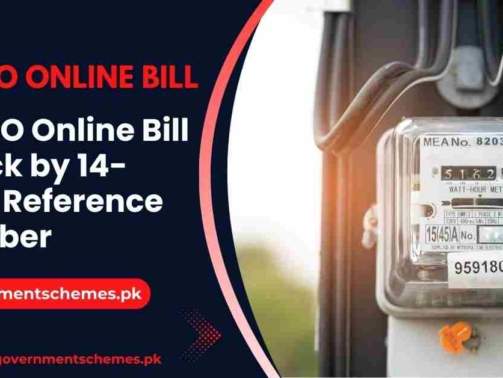PESCO-Online-Bill-Check-by-14-Digit-Reference-Number