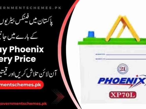 Phoenix-Battery-Price-In-Pakistan