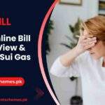 SNGPL-Online-Bill-Check-View-&-Pay