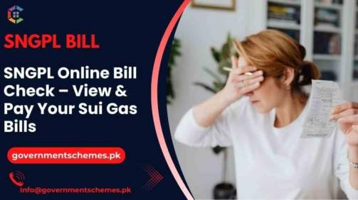 SNGPL-Online-Bill-Check-View-&-Pay