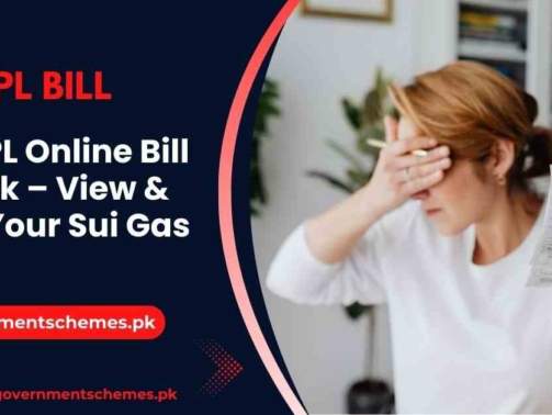 SNGPL-Online-Bill-Check-View-&-Pay