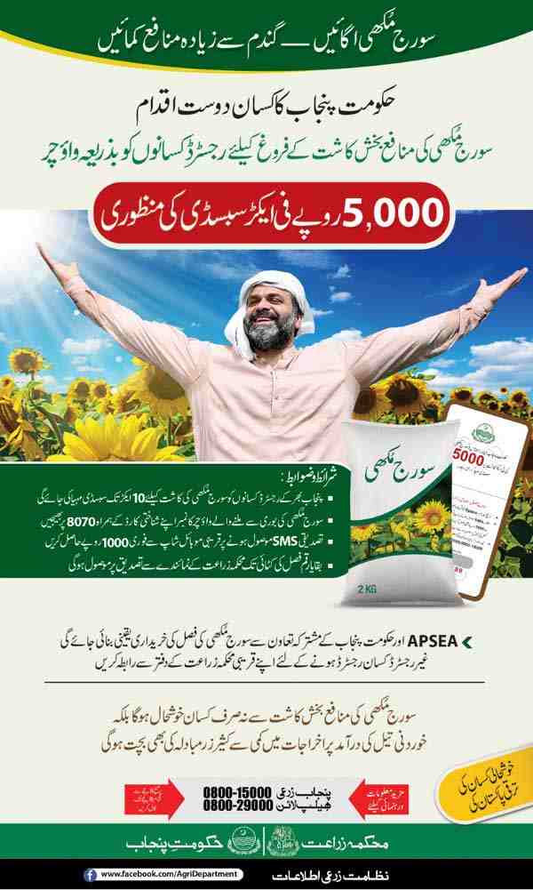 Sunflower-subsidy