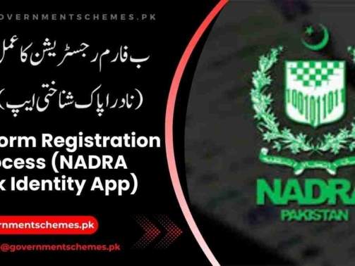 B-Form-Registration-Process