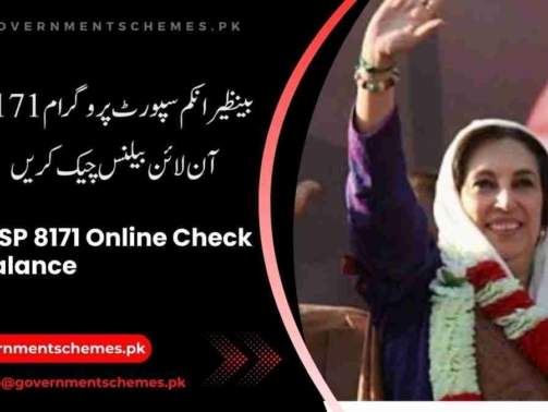 BISP-8171-Online-Check-Balance