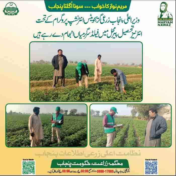 CM Punjab Agriculture Internship Program 2026 (60K/Month) 6 CM-Agriculture-Internship