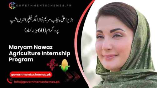 CM-Punjab-Agriculture-Internship-Program