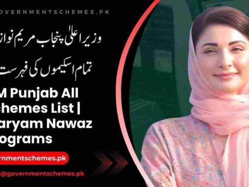 CM-Punjab-All-Schemes-List