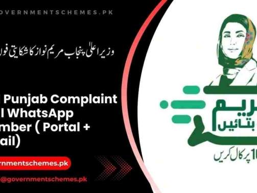 CM-Punjab-Complaint-Cell-WhatsApp-Number