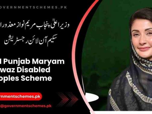 CM-Punjab-Disabled-Scheme