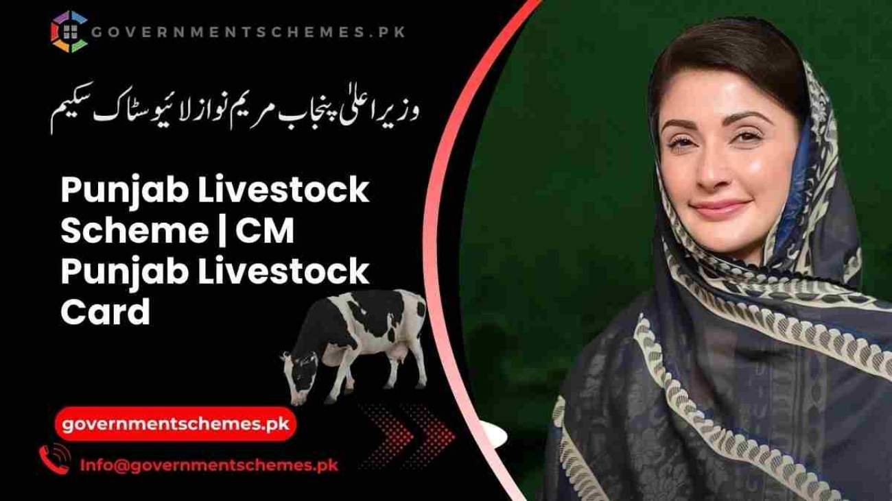 CM-Punjab-Livestock-Scheme-Apply