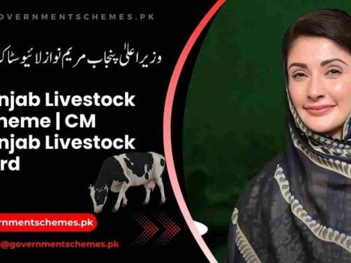 CM-Punjab-Livestock-Scheme-Apply