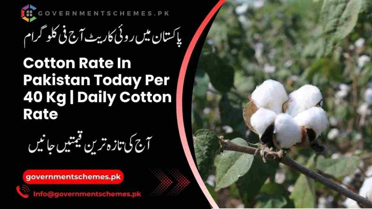 Cotton-Rate-In-Pakistan-Today-Per-40-Kg