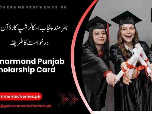 Hunarmand-Punjab-Scholarship-Card-Apply-Online