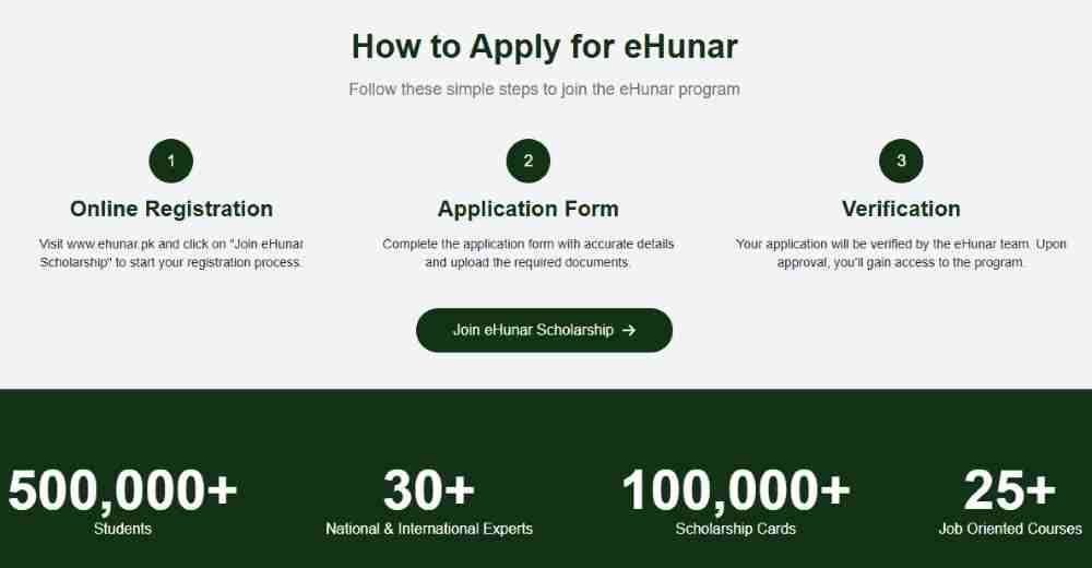 Student Scholarship Card Hunarmand 2026 | Official Portal 6 Hunarmand-Punjab-Scholarship-Card-Online-Apply