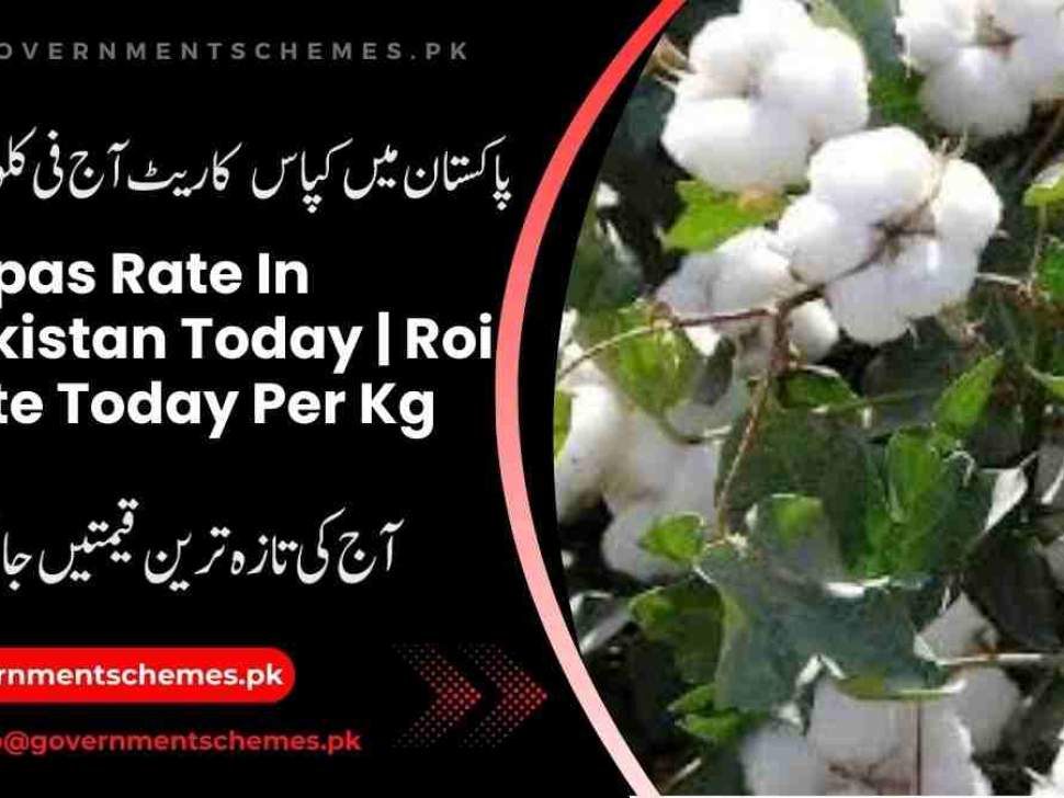 Home 9 Kapas-Rate-In-Pakistan
