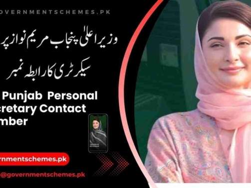 Maryam-Nawaz-Personal-Secretary-Contact-Number