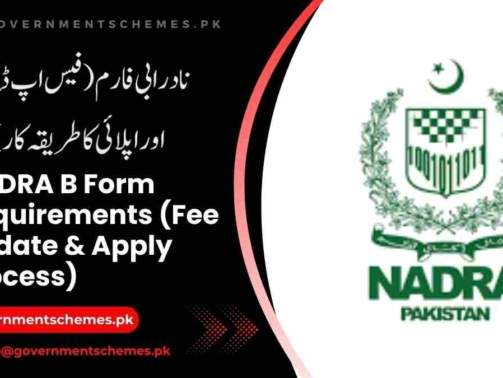 NADRA-B-Form