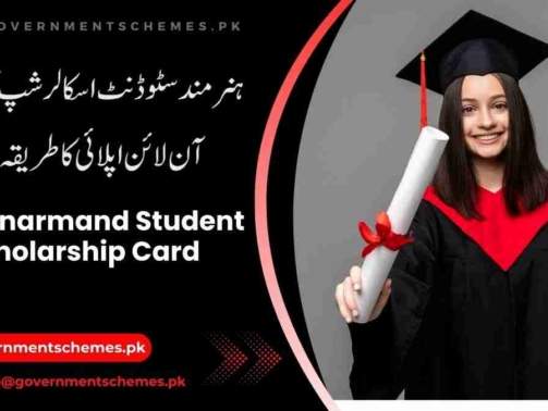 Student-Scholarship-Card-Hunarmand