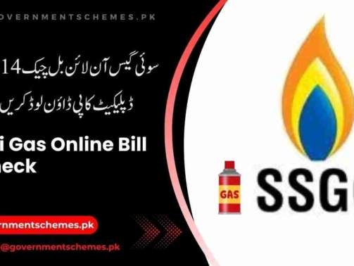 Sui-Gas-Online-Bill-Check-14-Digit