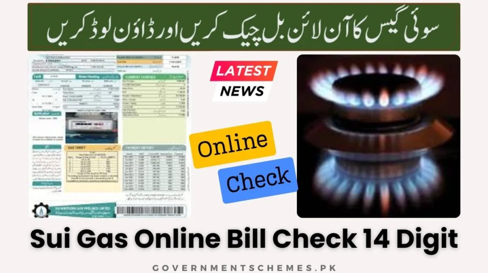 Sui-Gas-Online-Bill-Check-14-Digit
