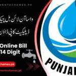 WASA-Online-Bill-Check-14-Digit