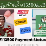 BISP-13500-Payment-Status-Check