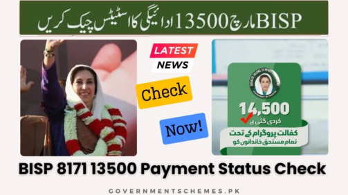 BISP-13500-Payment-Status-Check