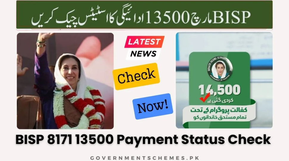 BISP-13500-Payment-Status-Check