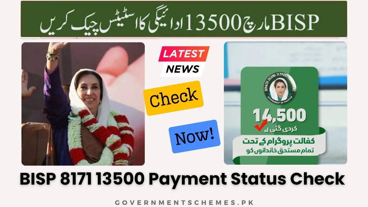 BISP-13500-Payment-Status-Check