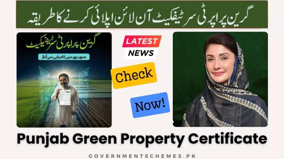 Green-Property-Certificate-How-to-Apply-Online