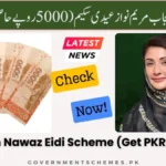 Maryam-Nawaz-Eidi-Scheme