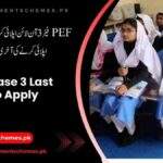 PEF-Phase-3-Last-Date-to-Apply