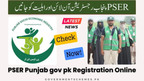 PSER-Punjab-gov-pk-Registration-Online