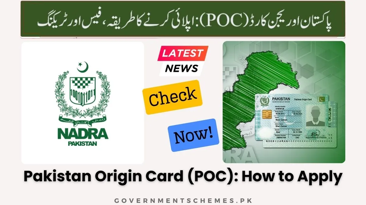 Pakistan Origin Card (POC): How To Apply, Fee, & Tracking 9 Pakistan-Origin-Card-POC