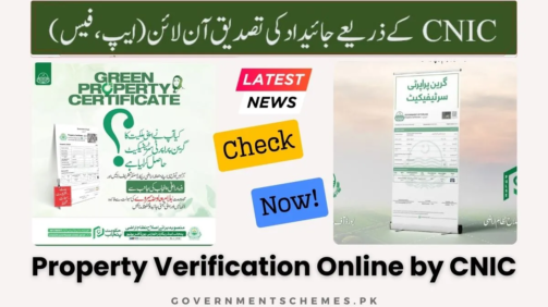 Property-Verification-Online-by-CNIC