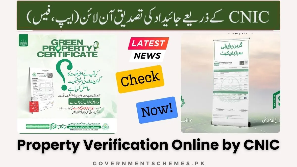 Property-Verification-Online-by-CNIC
