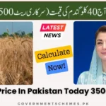 40-kg-Wheat-Price-In-Pakistan