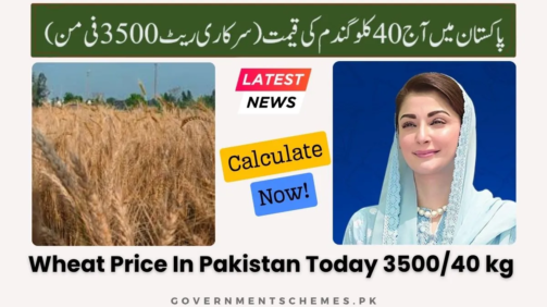 40-kg-Wheat-Price-In-Pakistan
