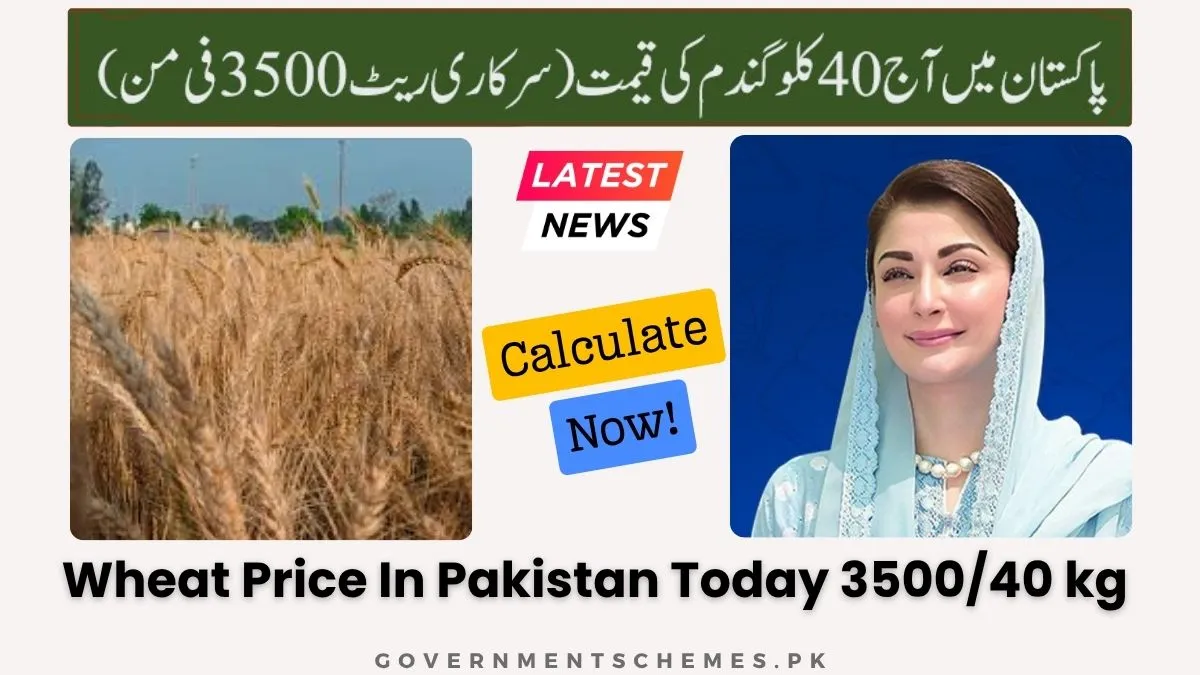 Today Wheat Price In Pakistan - Government Rate Per 40 Kg 5 40-kg-Wheat-Price-In-Pakistan