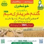 Today Wheat Price In Pakistan - Government Rate Per 40 Kg