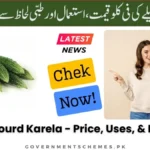 Bitter-Gourd-Karela-Price