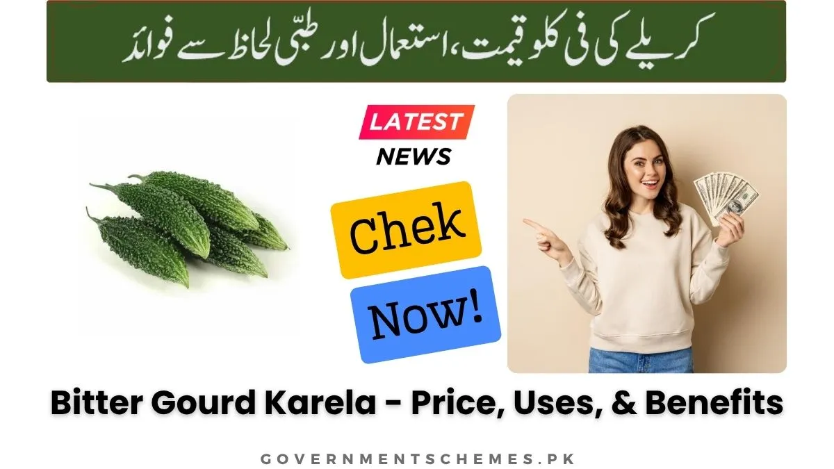 Bitter-Gourd-Karela-Price